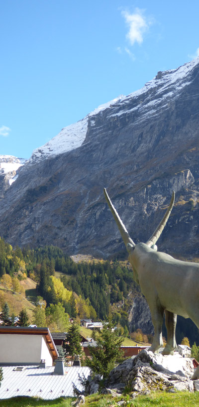 bouquetins symbole de pralognan la vanoise pres du dome des sonnailles